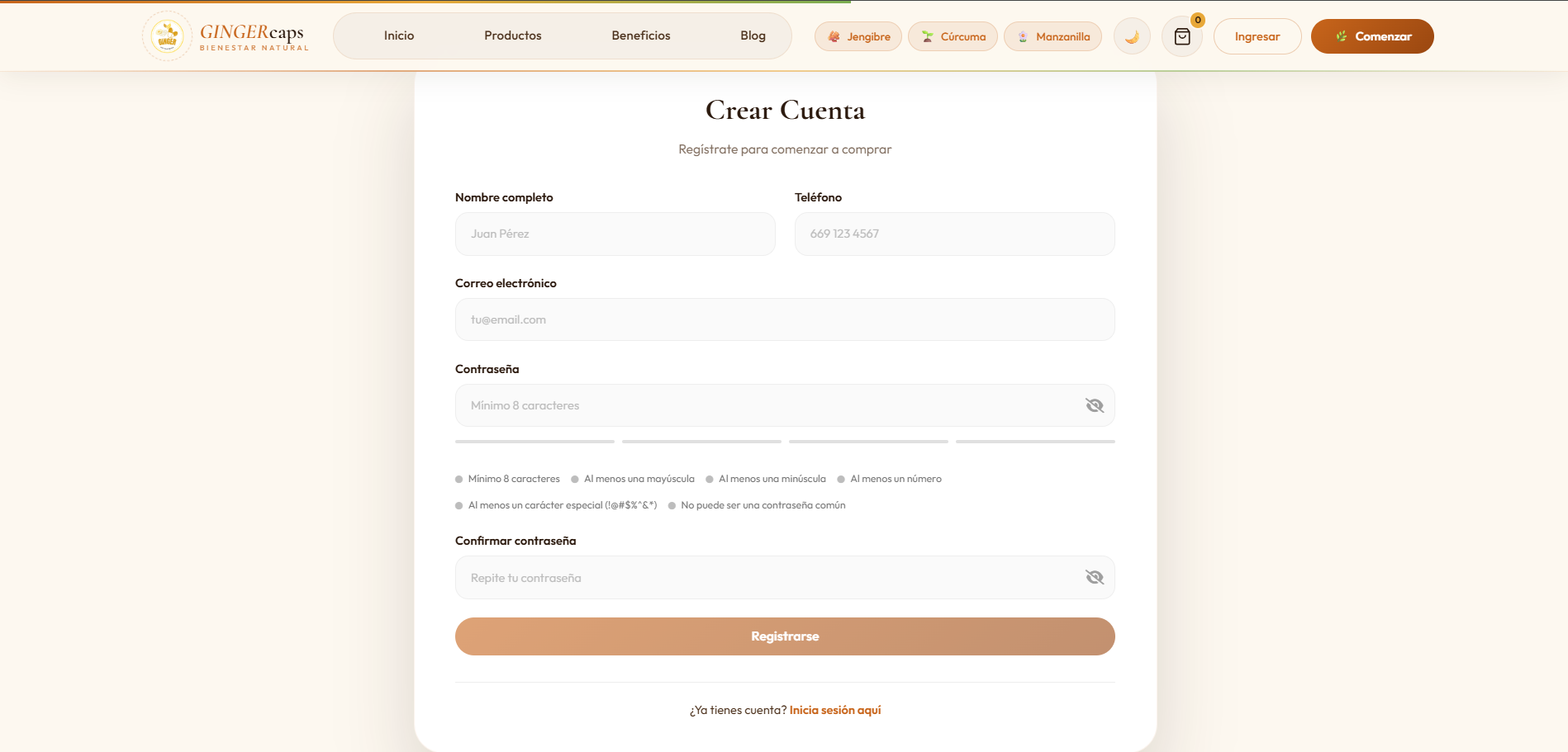 Login de Ginger